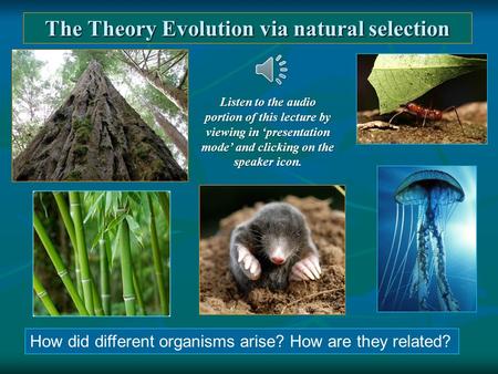 The Theory Evolution via natural selection How did different organisms arise? How are they related? Listen to the audio portion of this lecture by viewing.