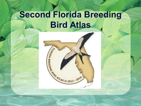 Second Florida Breeding Bird Atlas. Why should you help the Atlas? (BBA II) Atlas surveys are fun It is done on your own time schedule It’s birding with.