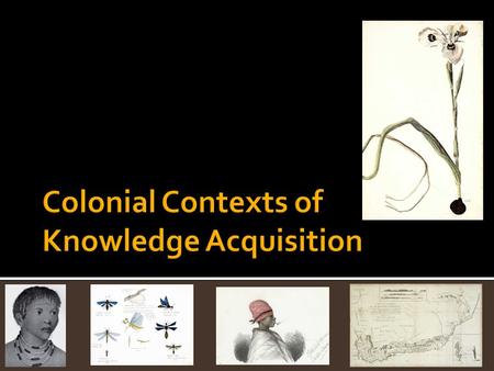 RESEARCH METHODS  Change over time  Reading/interpreting sources  Specific comparisons  Scale  “unit of analysis” HISTORICAL CONTENT  Mutual development.