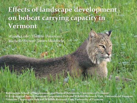 Effects of landscape development on bobcat carrying capacity in Vermont 1 Rubenstein School of Environment and Natural Resources, University of Vermont.