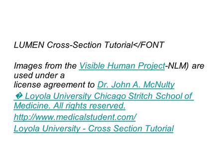 LUMEN Cross-Section Tutorial</FONT