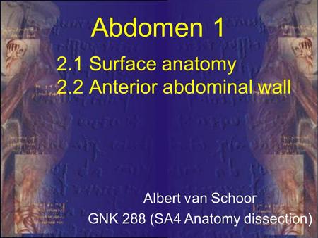 2.1 Surface anatomy 2.2 Anterior abdominal wall