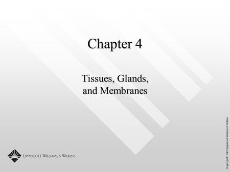 Copyright © 2004 Lippincott Williams & Wilkins Chapter 4 Tissues, Glands, and Membranes.