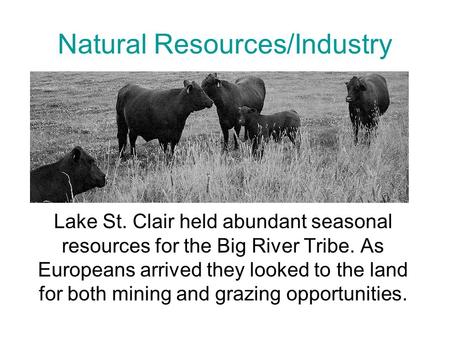 Natural Resources/Industry Lake St. Clair held abundant seasonal resources for the Big River Tribe. As Europeans arrived they looked to the land for both.