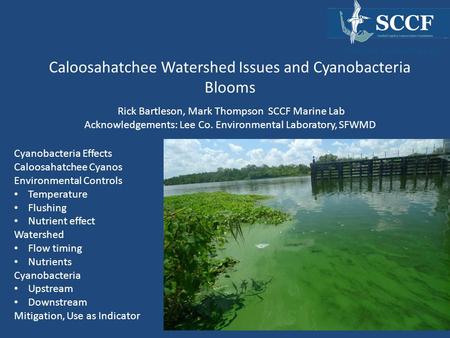 Caloosahatchee Watershed Issues and Cyanobacteria Blooms Cyanobacteria Effects Caloosahatchee Cyanos Environmental Controls Temperature Flushing Nutrient.