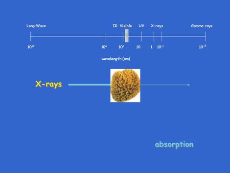 10 12 10 6 10 3 10 1 10 -1 10 -3 Long Wave IR Visible UV X-rays Gamma rays wavelength (nm) X-rays absorption.