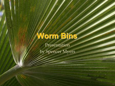 Worm Bins Presentation by Spencer Myers. What is a Worm Bin? Decomposing food Bedding Material Worms Vermicompost (Vermicast & Compost)