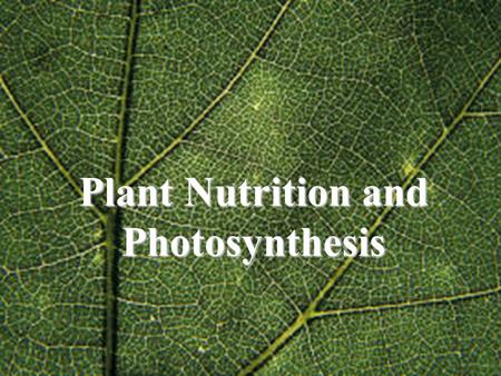 Plant Nutrition and Photosynthesis. Reading Quiz Get out a small sheet of paper and write your name at the top. Answer the following questions in silence.