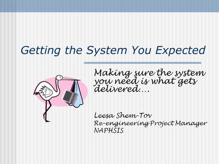 Getting the System You Expected Making sure the system you need is what gets delivered…. Leesa Shem-Tov Re-engineering Project Manager NAPHSIS.