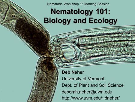 Nematology 101: Biology and Ecology