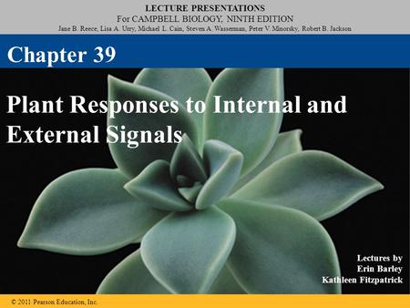 LECTURE PRESENTATIONS For CAMPBELL BIOLOGY, NINTH EDITION Jane B. Reece, Lisa A. Urry, Michael L. Cain, Steven A. Wasserman, Peter V. Minorsky, Robert.