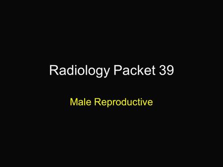 Radiology Packet 39 Male Reproductive. 11-year old M Samoyed “Stormy” Hx: Presenting signs include dysuria and pollakiuria. Hind end weakness has been.