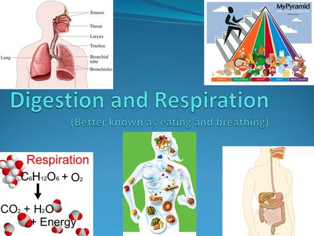 Nutrition Nutrition = the process of using food for growth, repair tissues and getting energy Two Types: Autotrophic Heterotrophic.