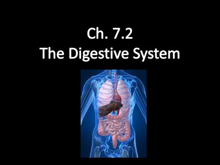 1. stages in food processing 1.ingestion 2.digestion 3.absorption 4.elimination 2. digestion - the process that breaks down food into small molecules.