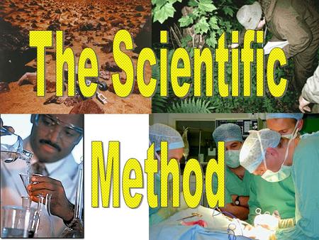 The Scientific Method.