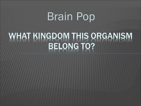 Brain Pop.  Where do plants get their energy?  The Sun’s heat and light give energy to all organisms  Yet, this energy cannot directly start cell processes,