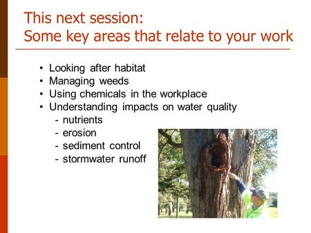 This next session: Some key areas that relate to your work Looking after habitat Managing weeds Using chemicals in the workplace Understanding impacts.