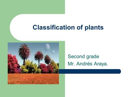 Classification of plants