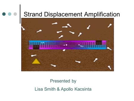 Strand Displacement Amplification Presented by Lisa Smith & Apollo Kacsinta.