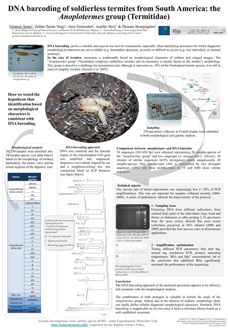 DNA barcoding of soldierless termites from South America: the Anoplotermes group (Termitidae) Genetic investigations were carried out by JEMU - Joint Experimental.