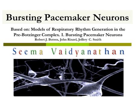 Bursting Pacemaker Neurons Based on: Models of Respiratory Rhythm Generation in the Pre-Botzinger Complex. I. Bursting Pacemaker Neurons Robert.J. Butera,