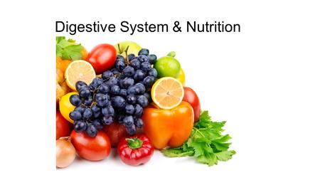 Digestive System & Nutrition. Digestive System BMI.