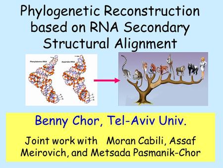 Phylogenetic Reconstruction based on RNA Secondary Structural Alignment Benny Chor, Tel-Aviv Univ. Joint work with Moran Cabili, Assaf Meirovich, and Metsada.