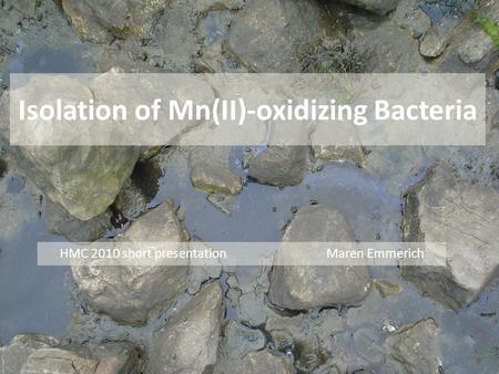 Isolation of Mn(II)-oxidizing Bacteria HMC 2010 short presentation Maren Emmerich.