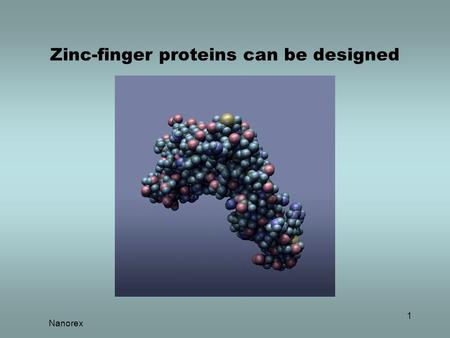 Nanorex 1 Zinc-finger proteins can be designed. Nanorex 2 A single-strand DNA molecule.