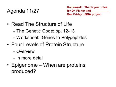 Agenda 11/27 Read The Structure of Life –The Genetic Code: pp. 12-13 –Worksheet: Genes to Polypeptides Four Levels of Protein Structure –Overview –In more.