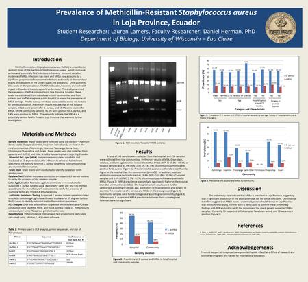 Prevalence of Methicillin-Resistant Staphylococcus aureus in Loja Province, Ecuador Student Researcher: Lauren Lamers, Faculty Researcher: Daniel Herman,