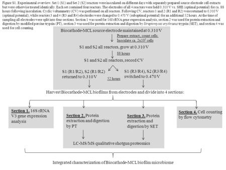 Figure S1. Experimental overview. Set 1 (S1) and Set 2 (S2) reactors were inoculated on different days with separately prepared source electrode cell extracts.