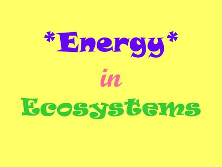 *Energy* in Ecosystems. Producers- an organism that uses energy from the sun to produce their own food. Producers are the source of all food in an ecosystem.