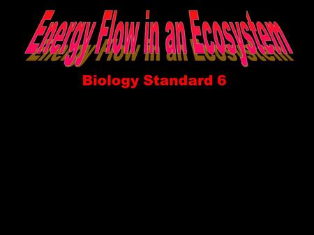 Biology Standard 6. The Sun… Is the source of all energy on Earth Photosynthesis: plants/phytoplankton Autotrophs: orgs make own food GO SUNS!