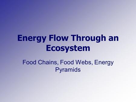 Energy Flow Through an Ecosystem