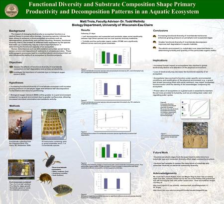 Functional Diversity and Substrate Composition Shape Primary Productivity and Decomposition Patterns in an Aquatic Ecosystem Methods Background The impact.