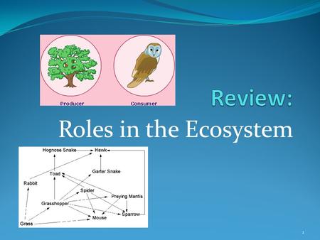 Roles in the Ecosystem 1. Producers Autotrophic Make food energy (carbohydrates/calories) from sun, water, carbon dioxide Support the entire food chain.