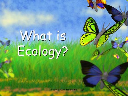 1 What is Ecology? copyright cmassengale. 2 What is Ecology?? The study of interactions that take place between organisms and their environment.The study.