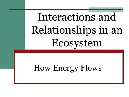 Interactions and Relationships in an Ecosystem How Energy Flows.