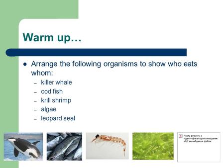 Warm up… Arrange the following organisms to show who eats whom: