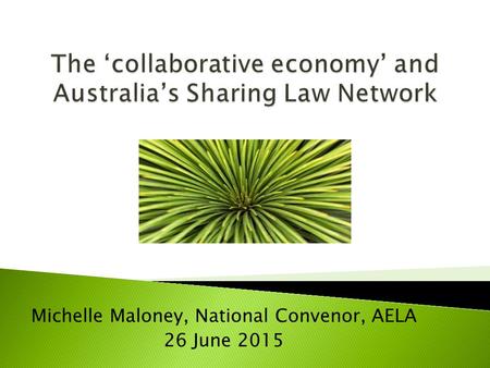 Michelle Maloney, National Convenor, AELA 26 June 2015.