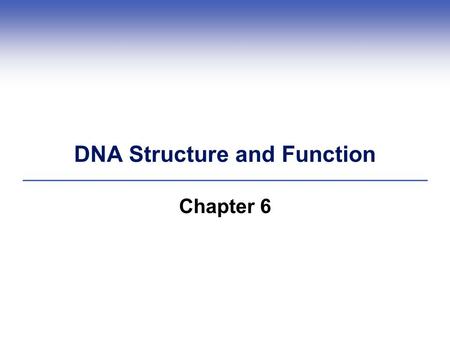 DNA Structure and Function