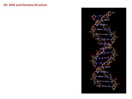 VII. DNA and Genome Structure. A. Search for the Genetic Information.