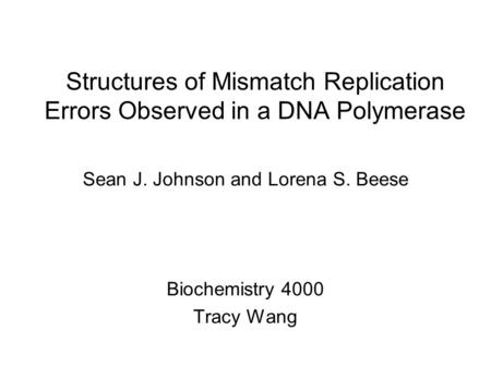 Structures of Mismatch Replication Errors Observed in a DNA Polymerase