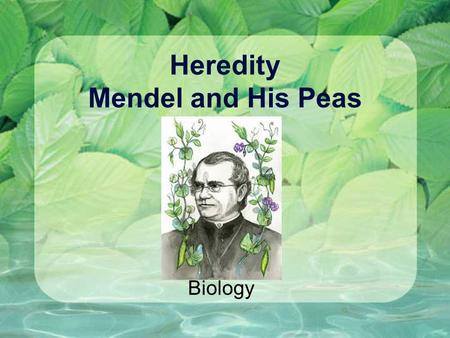 Heredity Mendel and His Peas Biology. First, Let’s Review! Sexual Reproduction Process of a sperm fertilizing an egg Gametes Sex cells (eggs, sperm)