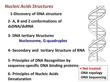 Nucleic Acids Structures 1-Discovery of DNA structure 2- A, B and Z conformations of dsDNA/dsRNA Not treated: -DNA topology -DNA Sequencing 5- Principles.