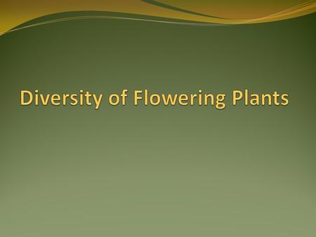 Diversity of Flowering Plants