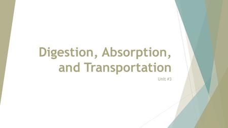 Digestion, Absorption, and Transportation