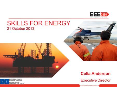 SKILLS FOR ENERGY 21 October 2013 Celia Anderson Executive Director.