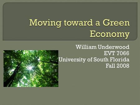 William Underwood EVT 7066 University of South Florida Fall 2008.